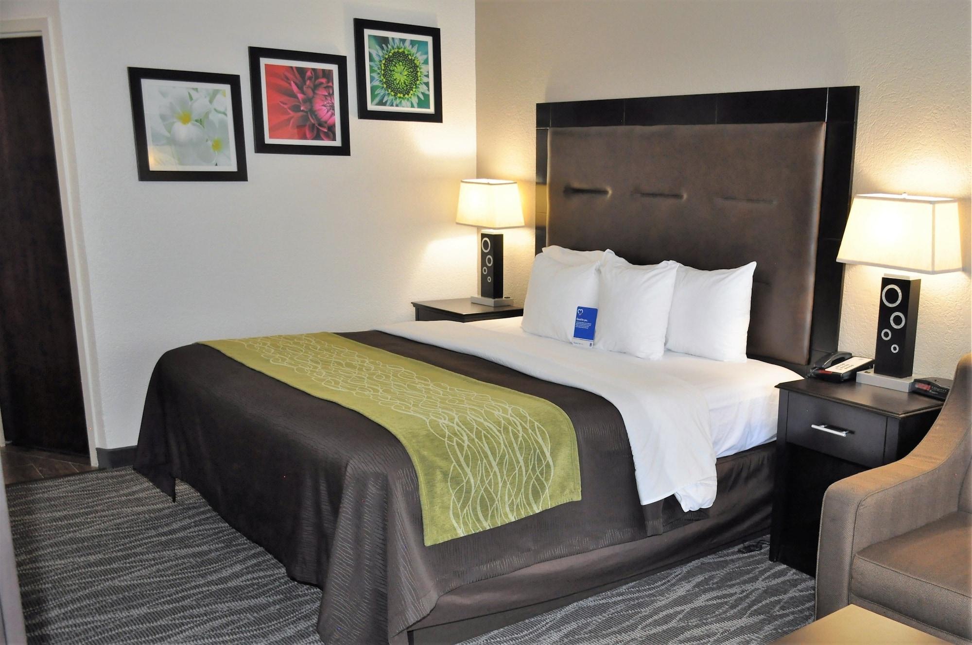 Comfort Inn Downtown Charleston Exterior foto